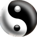 yingyang.jpg